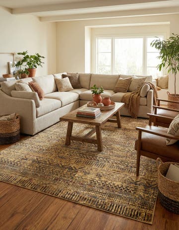 10' x 13' 1 Saturn Rug