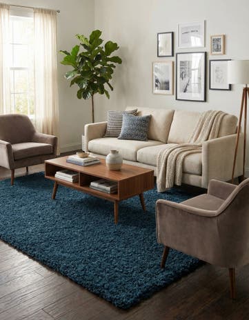 7' 10 x 10' Solid Shag Rug