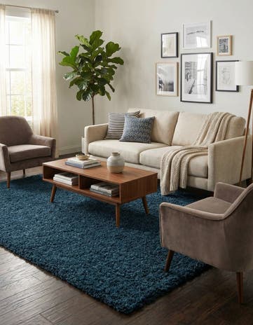 7' 10 x 10' Solid Shag Rug