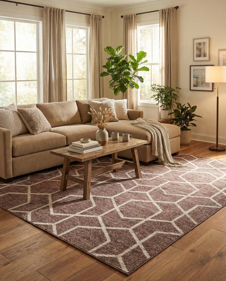 Detail image of 7' 10 x 10' Eco Trellis Rug