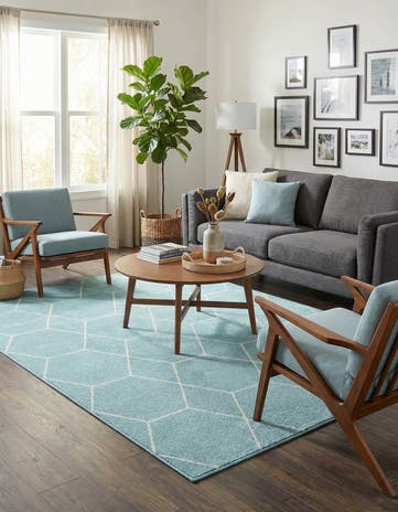 7' x 10' Trellis Frieze Rug