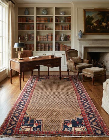 5' 3 x 9' 8 Hamedan Rug