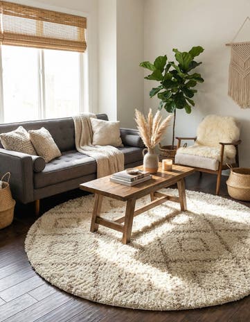 6' x 6' Trellis Shag Round Rug