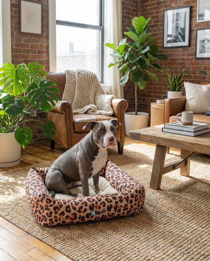 Detail image of 2' x 2' 4 Premium Pet Bed