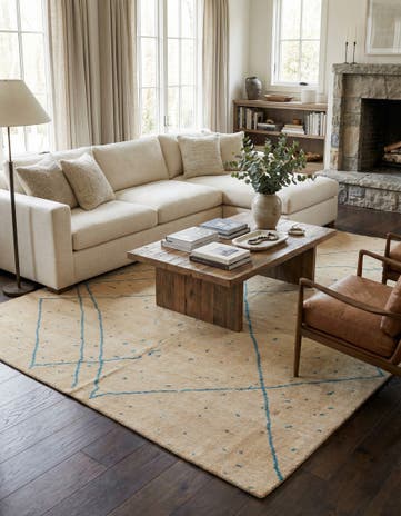 8' x 10' Hand Knotted Darya Wool Rug