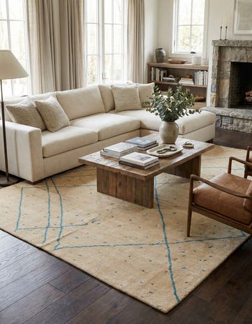 8' x 10' Hand Knotted Darya Wool Rug