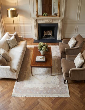 4' x 6' Darya Rug