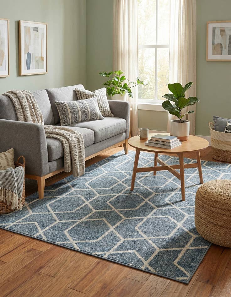 Detail image of 4' x 6' Eco Trellis Rug