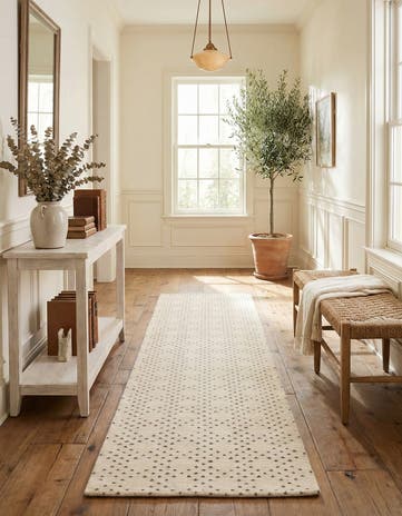 2' 6 x 9' 5 Hand Knotted Darya Wool Runner Rug