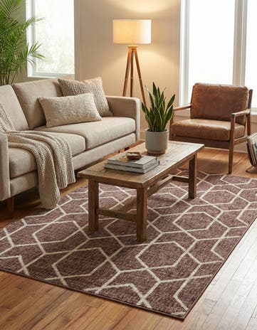 4' x 6' Eco Trellis Rug