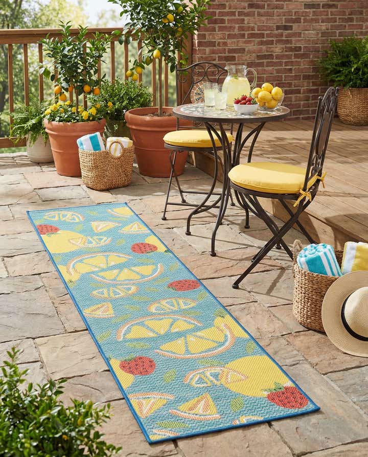 2' x 8' Easy-Clean Baja Indoor / Outdoor Runner Rug