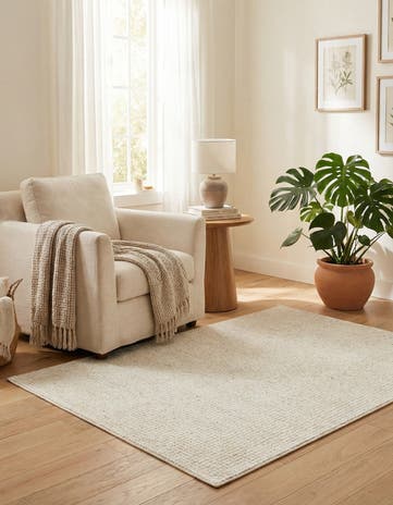 4' x 6' Aakaar Rug