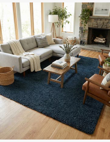 10' x 14' Everyday Shag Rug