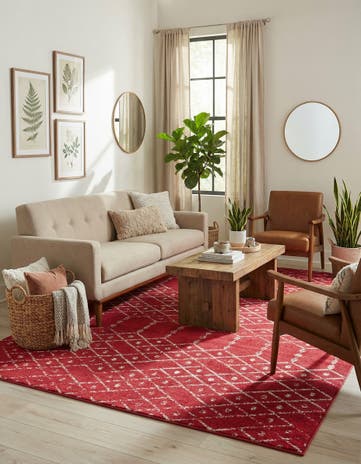 9' x 12' Paxon Trellis Rug