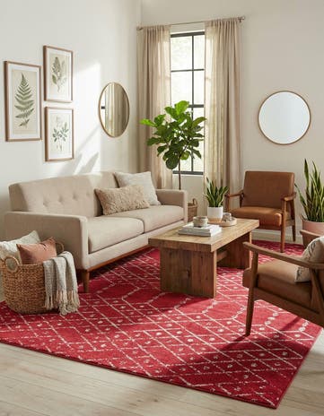 9' x 12' Paxon Trellis Rug