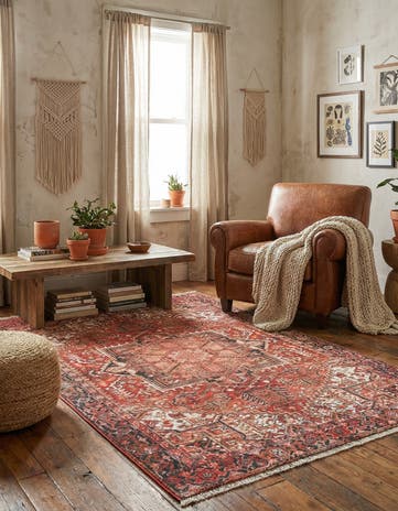 3' 11 x 5' 11 Boutique Rug
