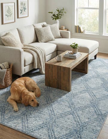 6' x 9' Kamala Washable Rug