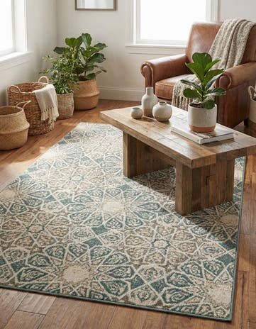 4' x 6' Mojave Rug