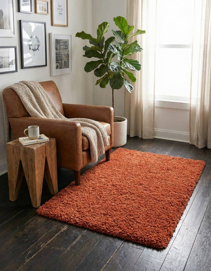 Detail image of  2' x 3' Solid Shag Rug