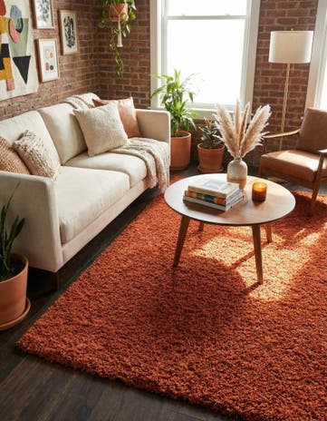 9' x 12' Solid Shag Rug