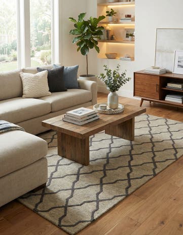 5' x 7' 11 Luna Rug