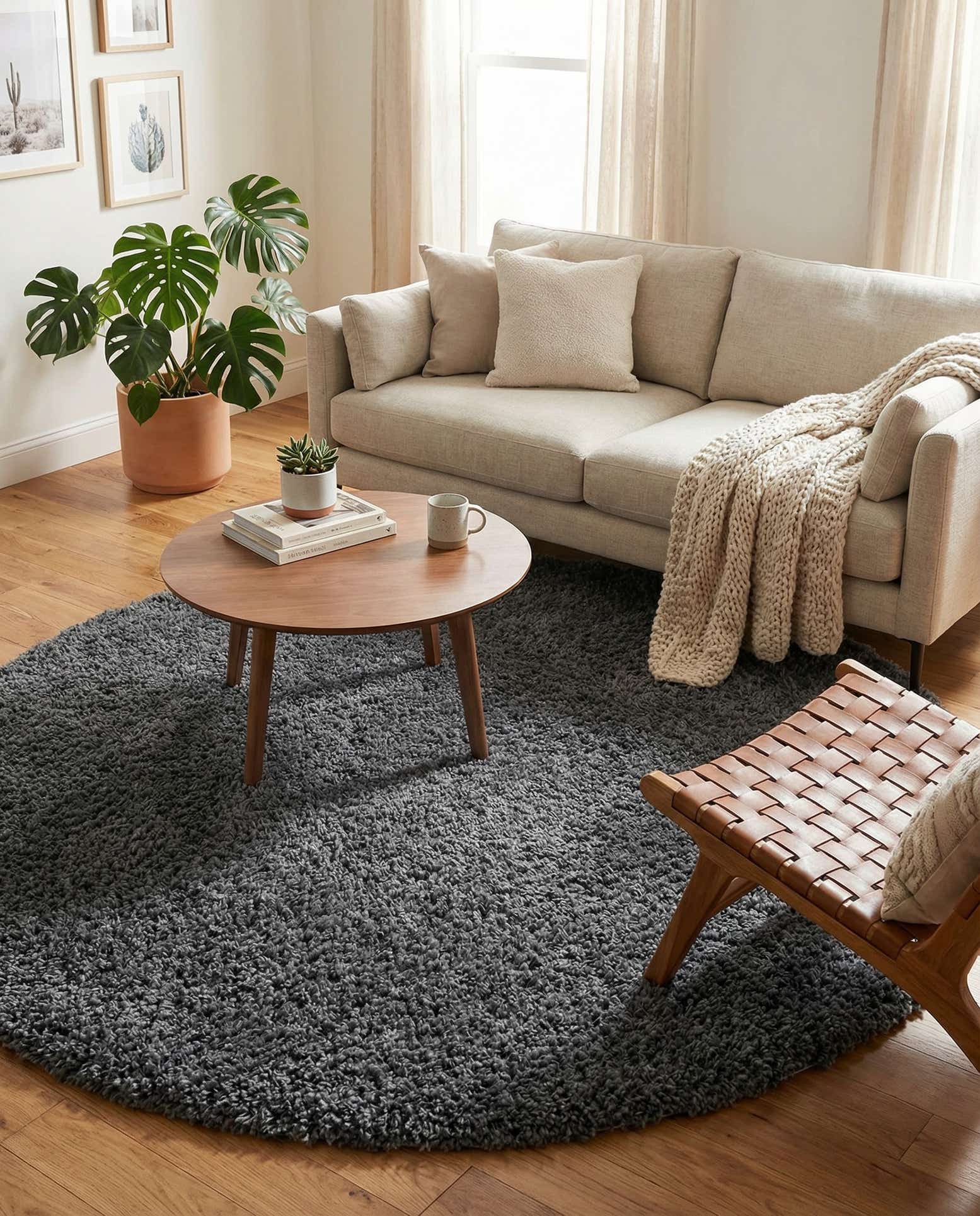 5' 3 x 5' 3 Zermatt Shag Round Rug