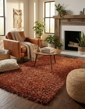 3' 3 x 5' 9 Hand Knotted Solid Shag Oriental Rug
