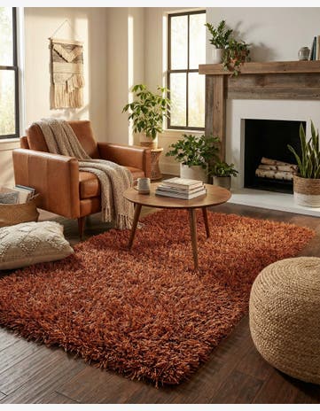 3' 3 x 5' 9 Hand Knotted Solid Shag Oriental Rug