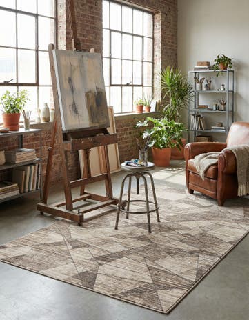 5' x 8' Silta Rug
