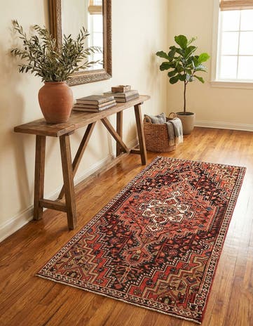 3' 2 x 6' 2 Hamedan Rug