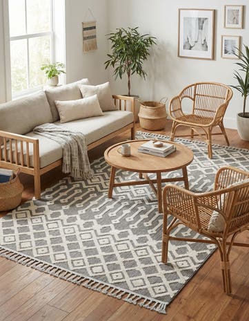 6' x 9' Arlo Rug