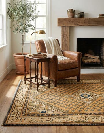 3' 3 x 5' 2 Hamedan Rug