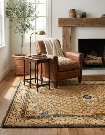 3' 3 x 5' 2 Hamedan Rug