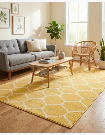 6' x 9' Trellis Frieze Rug