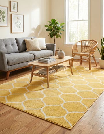 6' x 9' Lattice Frieze Rug