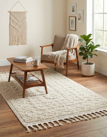 3' 3 x 5' 3 Boho Rug