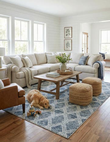 10' x 14' Kamala Washable Rug