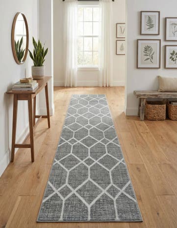 2' 7 x 13' Lattice Trellis Runner Rug
