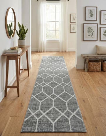 2' 7 x 13' Lattice Trellis Runner Rug