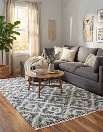 4' x 6' Athena Shag Rug