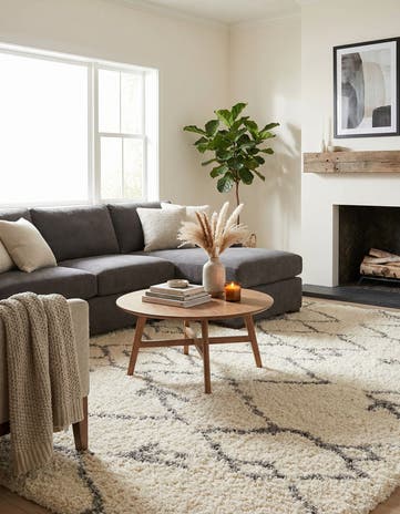 9' x 12' Infinity Shag Rug