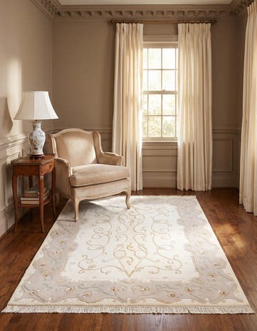 4' x 6' Darya Rug