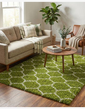 6' x 9' Trellis Shag Rug