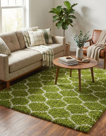 6' x 9' Lattice Shag Rug