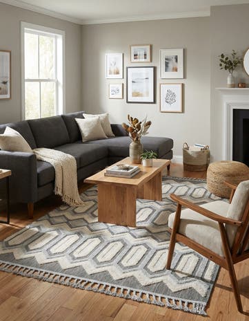 5' 3 x 8' Arlo Rug