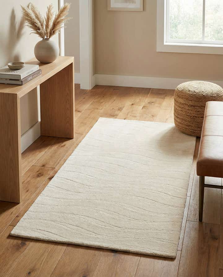 2' 7 x 4' 9 Hand Knotted Darya Wool Rug