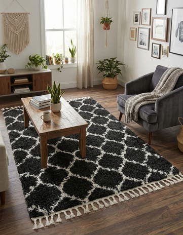 4' x 6' Athena Shag Rug
