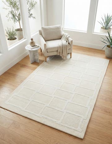 3' 11 x 6' Darya Rug