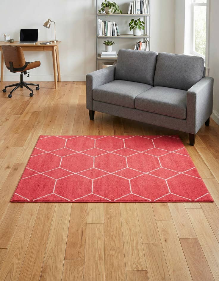 Detail image of  4' x 6' Lattice Frieze Rug