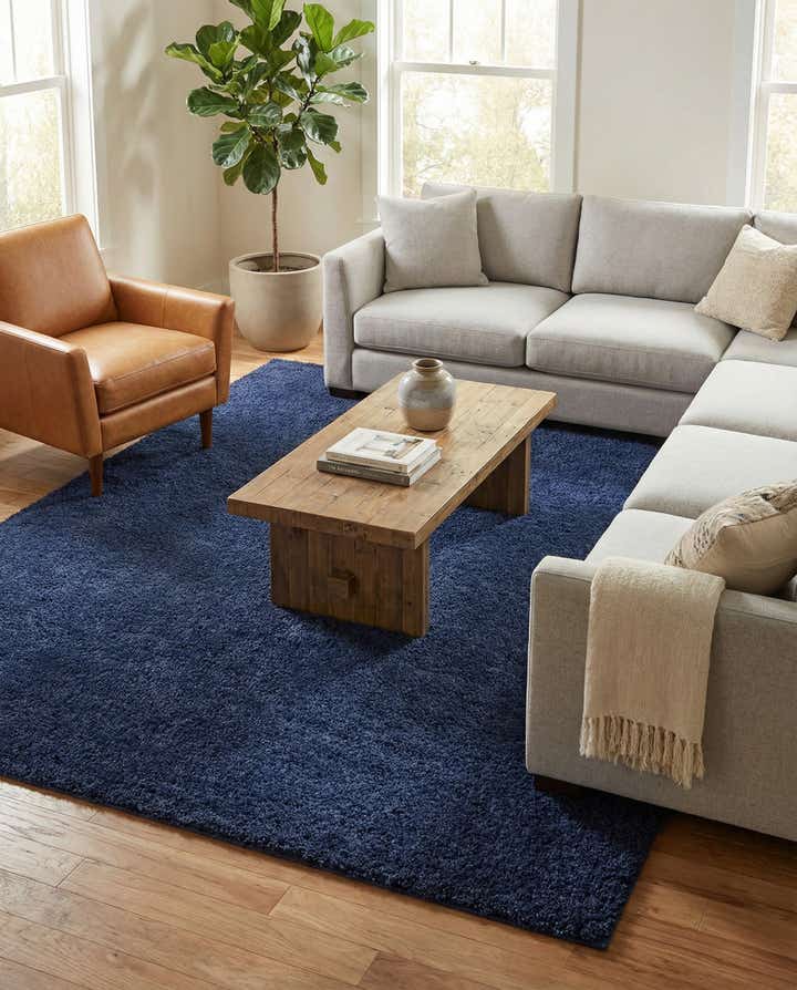9' x 12' Solid Frieze Rug
